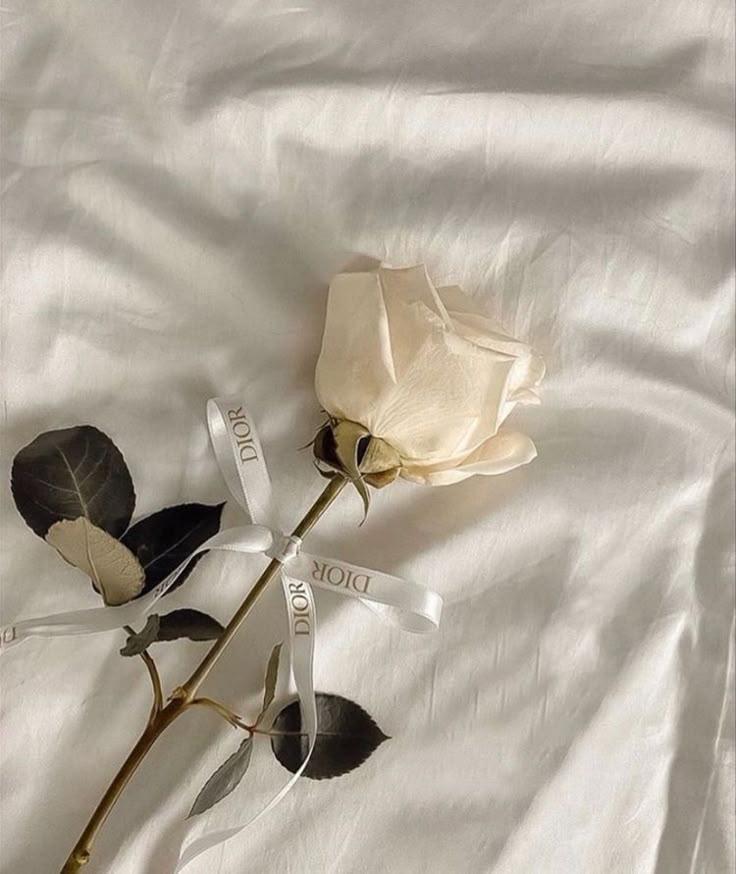 Whispers of Blooming Serenity